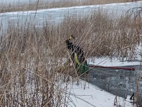 Вбивці 11-річного хлопчика з Якимівки зізналися ще в одному вбивстві