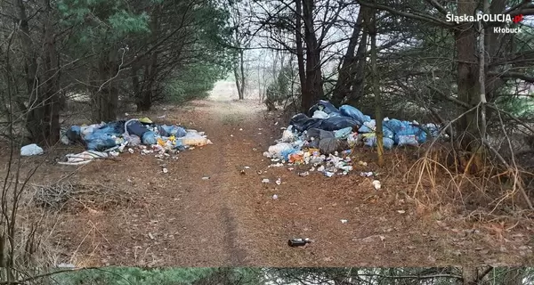 В Польше полицейские неделями выслеживали украинца-нарушителя, чтобы выписать ему штраф