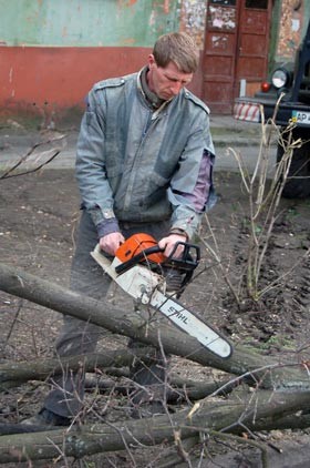 В городе вновь взялись за пилы 