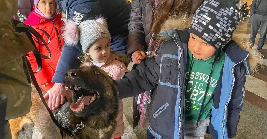 Кінологи із собаками розважають дітей на вокзалі, щоб допомогти пережити стрес