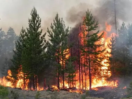 Більшість пожеж у Чорнобильській зоні ліквідовано або локалізовано