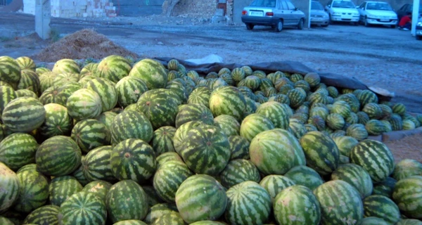 Агроэксперт: арбузов и дынь хватит. А вот лука можем недосчитаться