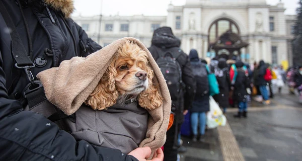 За время войны на поездах 