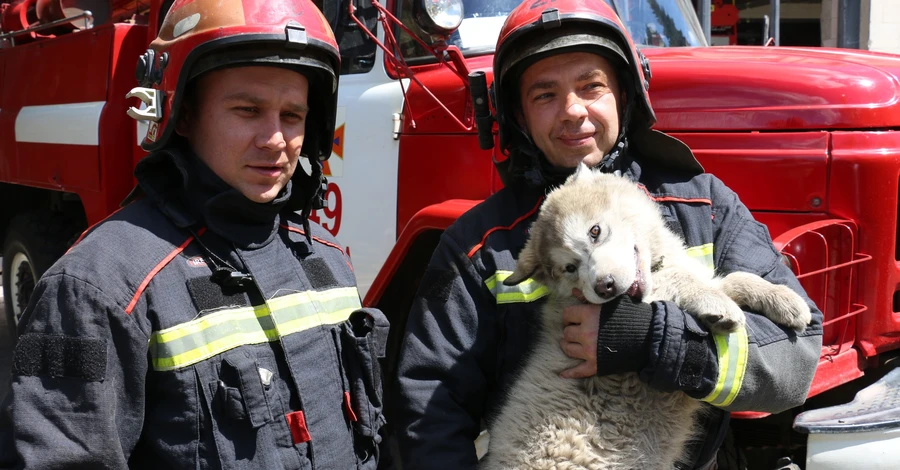 Врятоване при пожежі щеня тепер служить у рятувальній частині Харкова