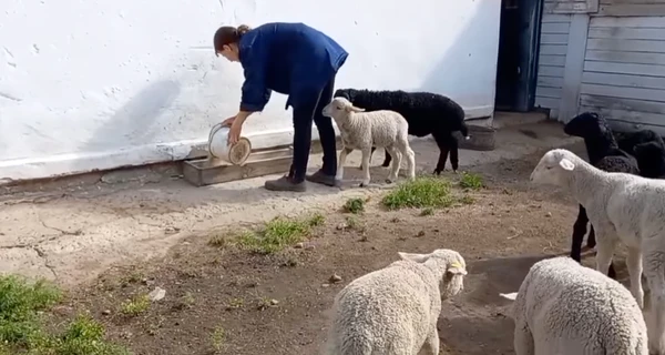 В заповеднике 