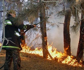 Запорожье полыхаетсо всех сторон 