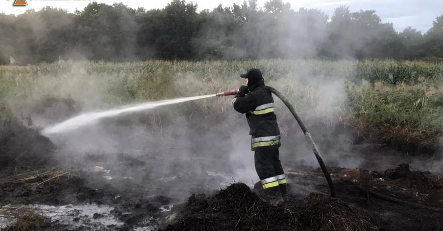 Київ знову огорнув їдкий дим: у передмісті горять торфовища