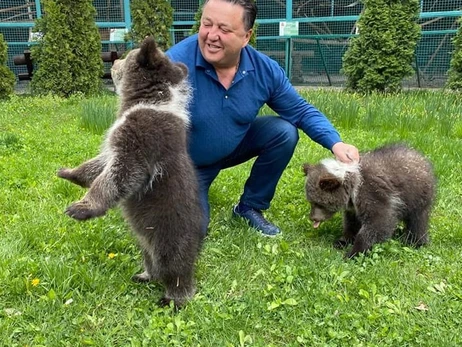 Экопарк Фельдмана начали восстанавливать, туда уже вернулись буйволы