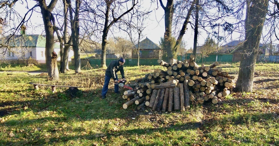 Как безработных привлекают к общественно полезным работам: опыт Сумщины и Черниговщины