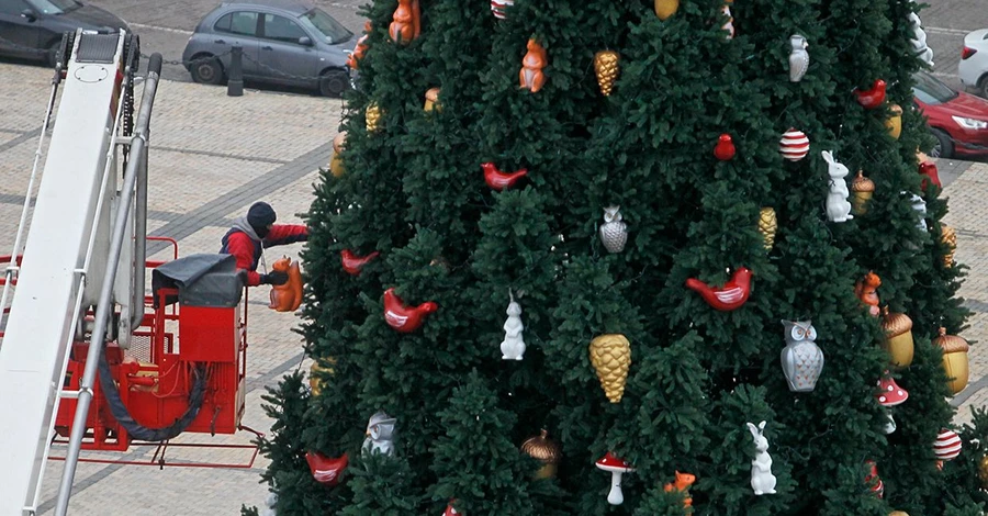 Ялинка в Києві буде меншою, ніж зазвичай, і без святкових вогнів