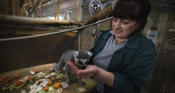 Киевский зоопарк показал маленьких питомцев, родившихся с начала войны