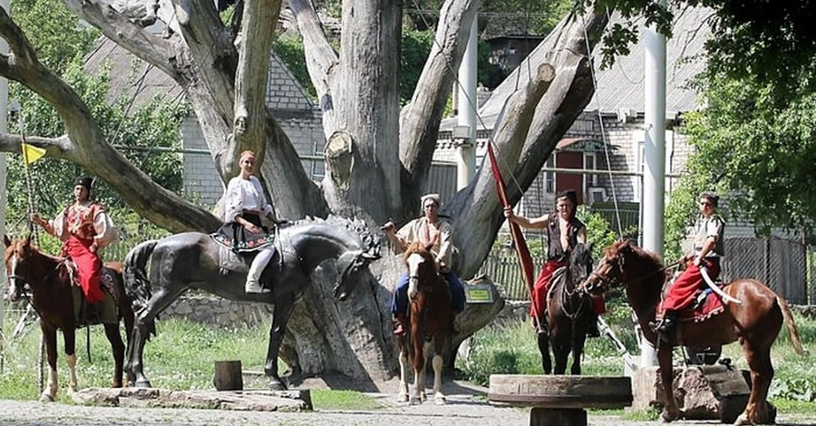 Охоронці дерева: Запорізький дуб-патріарх живий – йому більше нічого не загрожує