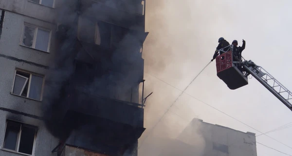 В Запорожье спасают собаку, которую достали из-под завалов разрушенной многоэтажки