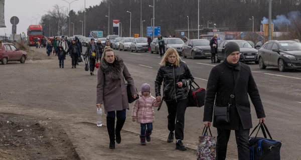 Їдемо за кордон: м'ясо та молоко не веземо, собак та кішок декларуємо