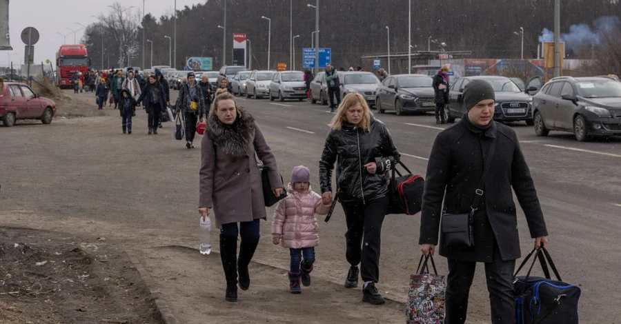 Їдемо за кордон: м'ясо та молоко не веземо, собак та кішок декларуємо