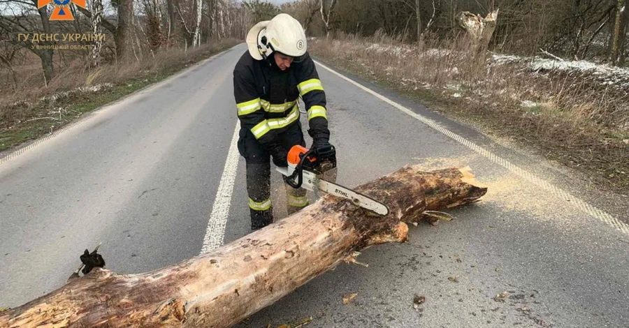 Поваленные деревья и отключения света: продолжается ликвидация последствий непогоды в 12 областях