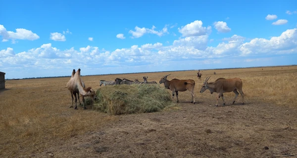 В заповеднике 