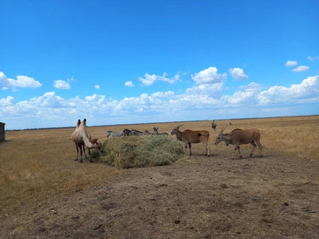 В заповеднике 