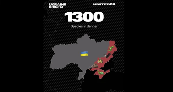 Ермак: Россияне оккупировали двадцать заповедников в Украине