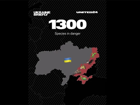 Єрмак: Росіяни окупували двадцять заповідників в Україні