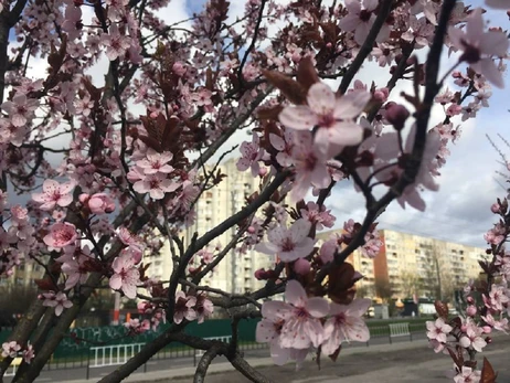 Погода в Україні 17 квітня: на заході та півдні - дощ