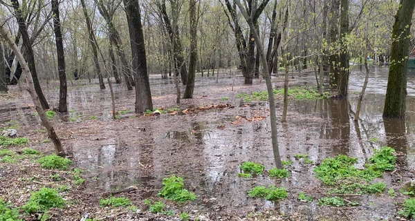 Уровень воды в Днепре в Киеве поднимается второй день подряд - КГВА