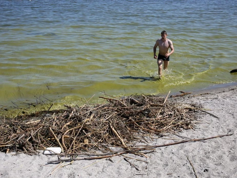 В Одессе позеленело море