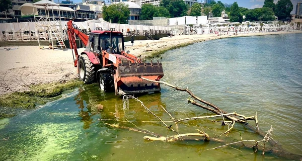 В водах Одесской области выявили опасные возбудители инфекционных болезней