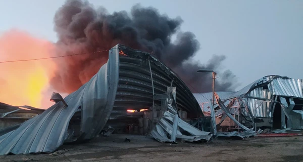 Росія ракетним ударом знищила на Одещині 100 тонн гороху та 20 тонн ячменю