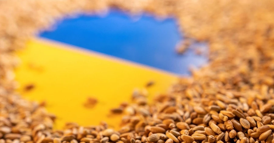 ВСУ: Украина продолжит поставлять зерно даже после выхода РФ из 