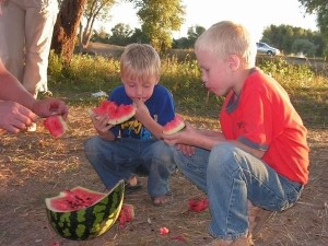 Сальмонеллёз перешел в осеннее наступление 