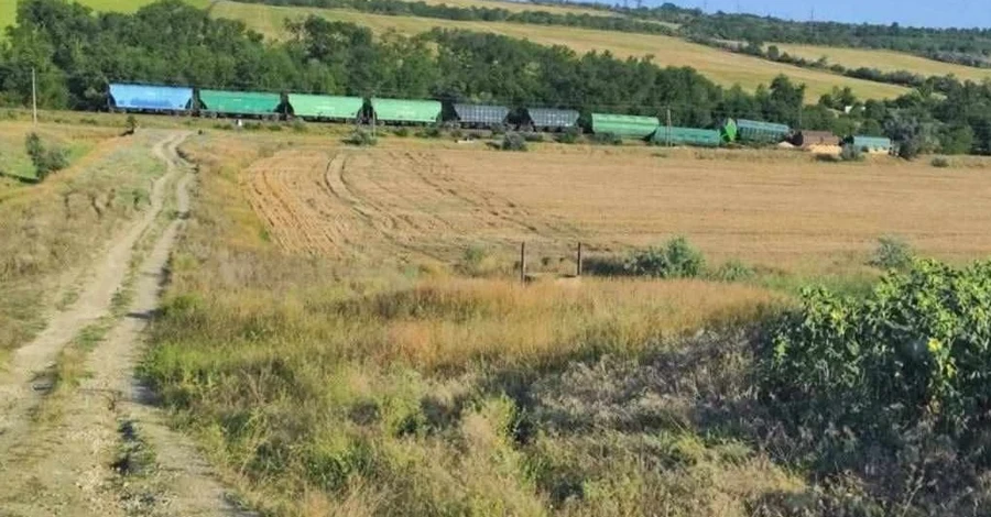 В Молдове сошел с рельсов поезд с украинским зерном