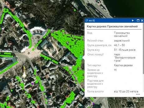 В Киеве для учета и защиты «оцифровали» более 100 тысяч деревьев