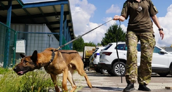 В Украину приехали собаки из ЕС, которые будут работать на деоккупированных территориях