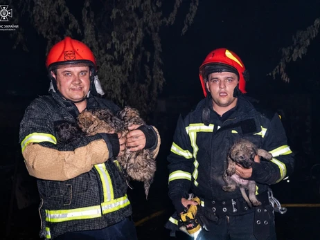 Під час пожежі у хмельницькому ресторані мало не загинули шестеро цуценят