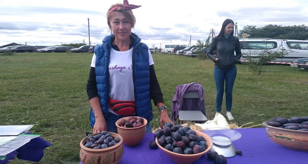 «Угорка», «Ренклод» чи канадська. Які сливи нормалізують тиск та вагу