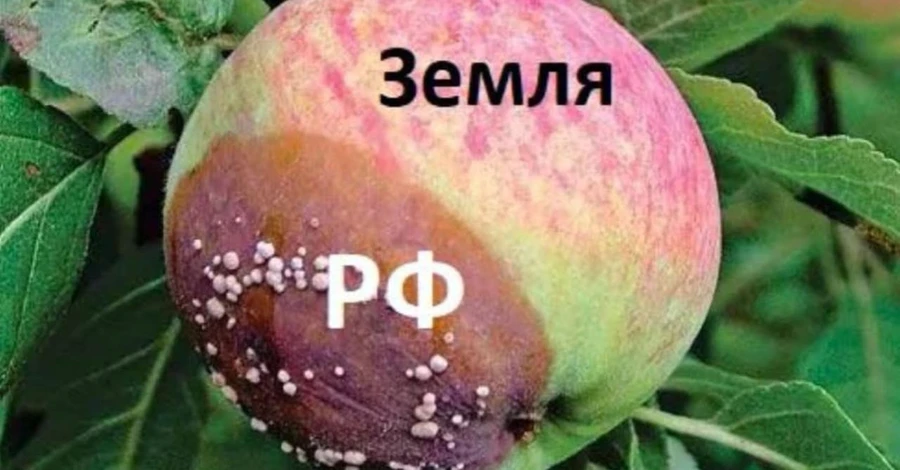 Анекдоти та меми тижня: в Україні та Ізраїлі перемінна погода – місцями «Град»