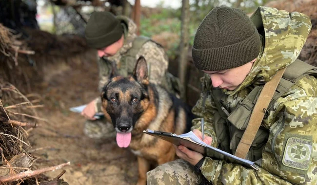 Военные в окопах пишут радиодиктант национального единства 