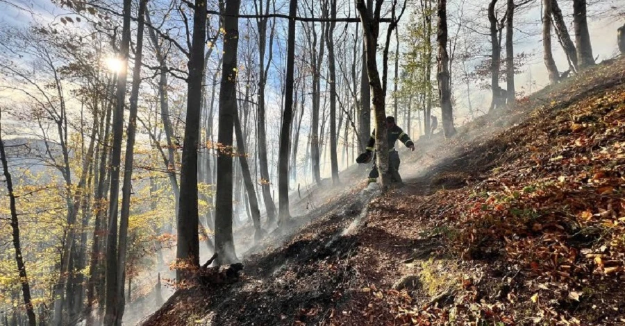 Майже 50 рятувальників гасять пожежу на території національного парку на Буковині