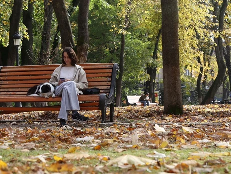 Уряд створив держреєстр домашніх тварин - поки лише котів та собак