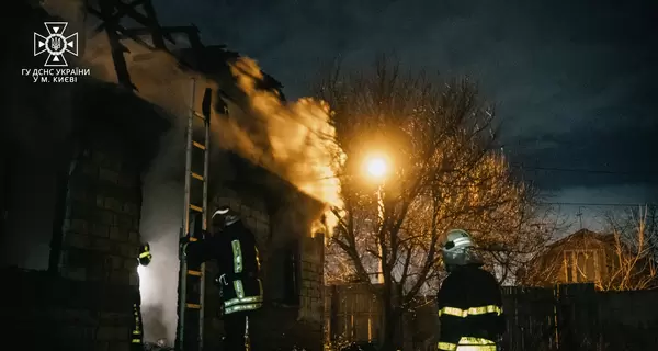 В Киеве спасли котенка и щенка во время пожара в частном доме