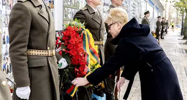 В Україну прибула прем’єр-міністр Литви