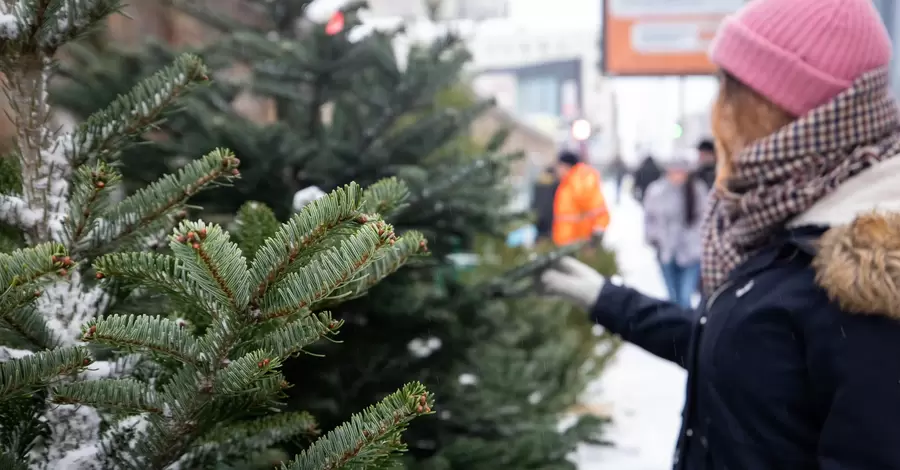 У Києві почали працювати ялинкові ярмарки: список адрес по районах 