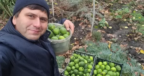 Маракуя, інжир та гранат: як харків'янин вирощує екзотику та рятував її під обстрілами