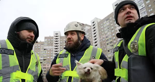 В Киеве полицейские спасли собаку, заблокированную в разрушенной квартире после обстрелов