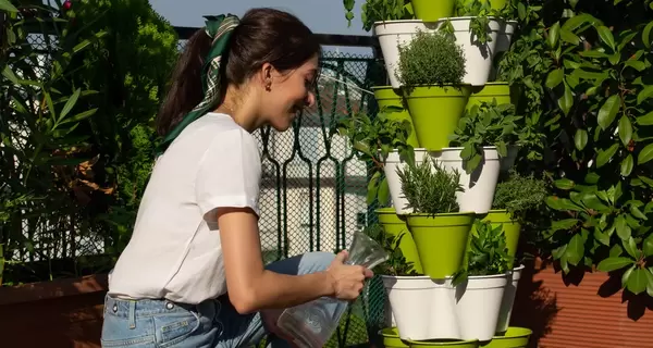 Вертикальний город своїми руками: кашпо пластикові і міцна стіна або стелаж 