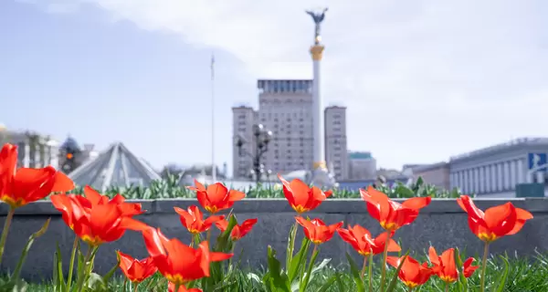 В Киеве расцвели первые тюльпаны - тысячи цветов украсили районы столицы