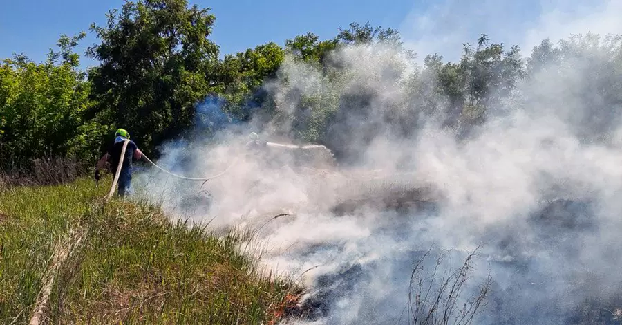 Під Києвом спалахнула пожежа у лісовому масиві