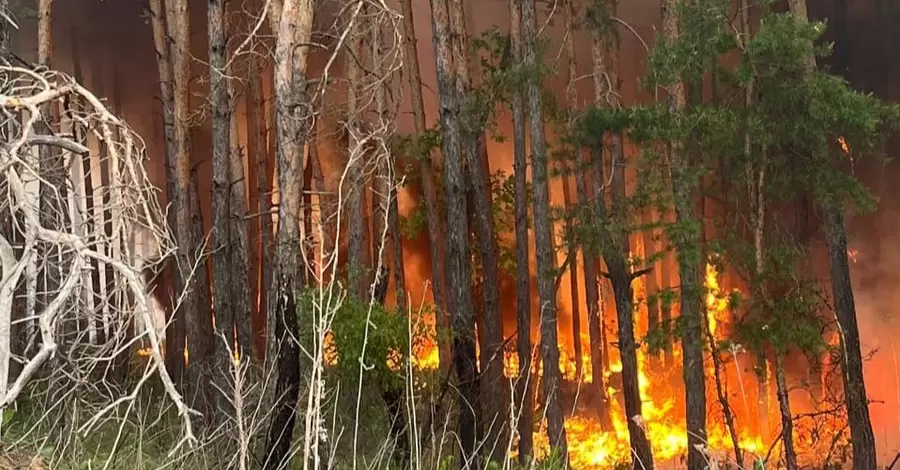 На Харківщині горять майже чотири тисячі гектарів лісу