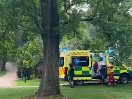 У Чехії блискавка влучила в дерево, під яким знаходилось 20 людей